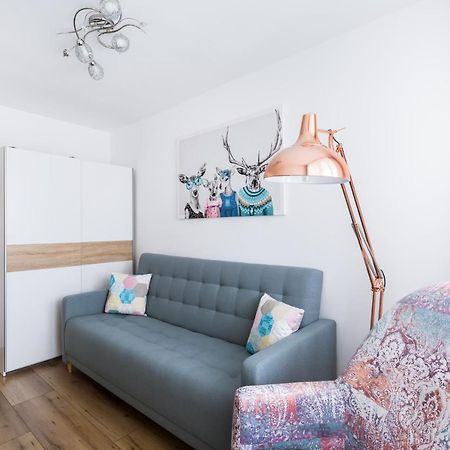 Apartament Stag Karkonosz - 2 Osobne Pokoje - 38M2 Jelenia Góra Extérieur photo